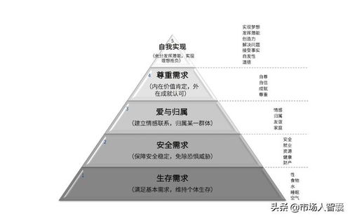 市場(chǎng)策劃人的營(yíng)銷模型 解析框架化的成功之路